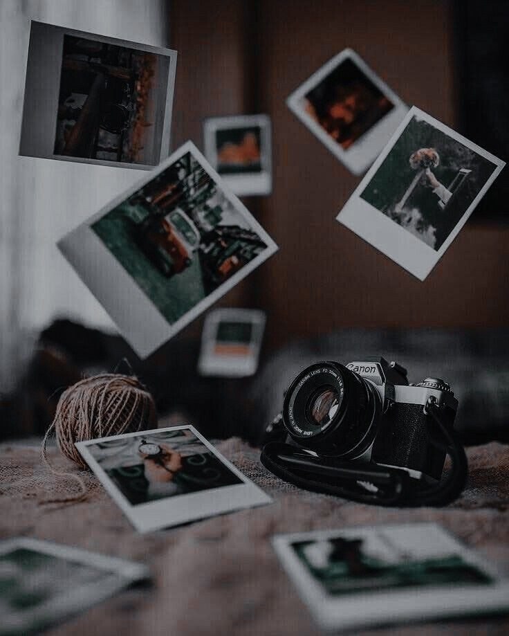 ﺂۣۗلۣۗہۣۗصۣۗہۣۗقۣۗہۣۗرۣۗ شۣۗہۣۗخۣۗہۣۗصۣۗہۣۗيۣۗہۣۗا tweet media
