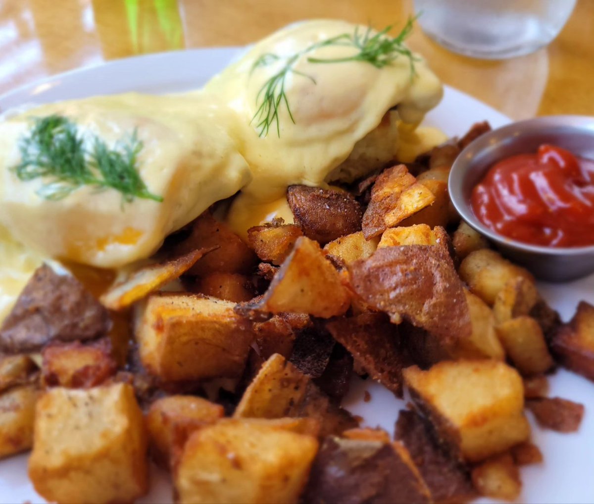 michaeltrevorca's tweet image. Brunch at The Canteen downtown Dartmouth.  Delish.  Hostess Jen was delightful, engaging and overall wonderful. . 

#canadianblogger #canadianbloggers #picoftheday #lovemylife #photooftheday #travelblogger #queerlife #queerlifestyle #queertravelblog #michaeltrevortravels