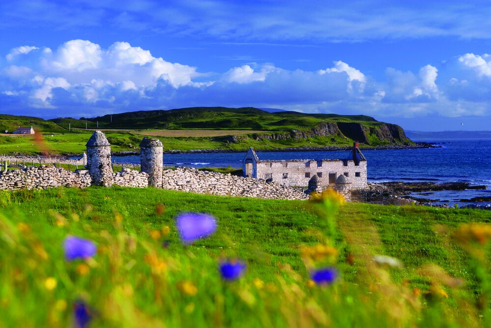 Tourism Ireland
📍 Rathlin Island, County Antrim
**
More than 1000 Happy Travellers use the Free Digital Copy of the ULTIMATE IRELAND TRAVEL GUIDE - Do You?
freeirelandtravelguide.gr8.com