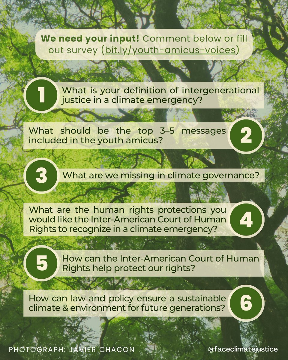 FACE Intergenerational Justice tweet media