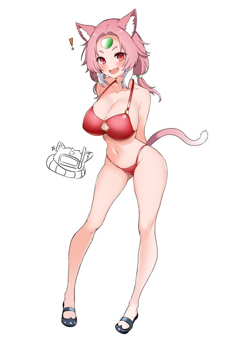 夏合宿に引率される毛玉() 