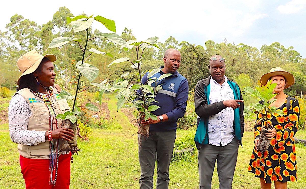 WorldVisionKE's tweet photo. This week, we hosted @Annika_Sweden, the head of Development Cooperation @SwedeninKE in Narok County, where our #IMARA programme funded by @Sida is implementing restoration initiatives under the #ConservanciesModel in partnership with @Mconservancies. https://t.co/LzyV5PQXnG