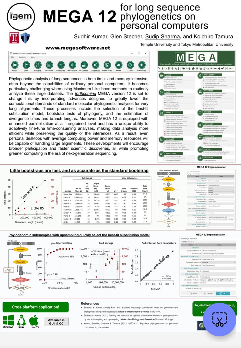 ssharma_igem's tweet image. Please join us to learn more about #GreeComputing using MEGA version 12. Poster #145
#evol2023
#evolution2023