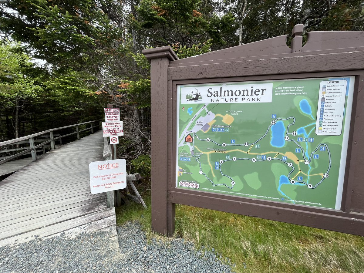 dawn_kimmy_nl's tweet photo. I’m doing the nature walk today at Salmonier Nature Park #parksnl https://t.co/PRT0nsbglZ