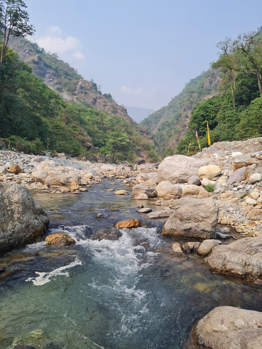 SurasreeBio's tweet photo. I'm asking those who love the outdoors to post a picture YOU took. Just a pic. No description. The goal is to regain peace and harmony without negativity. Please copy the text, put a picture on your page, and let's look at these beautiful pictures. https://t.co/9ZzliWs0lu
