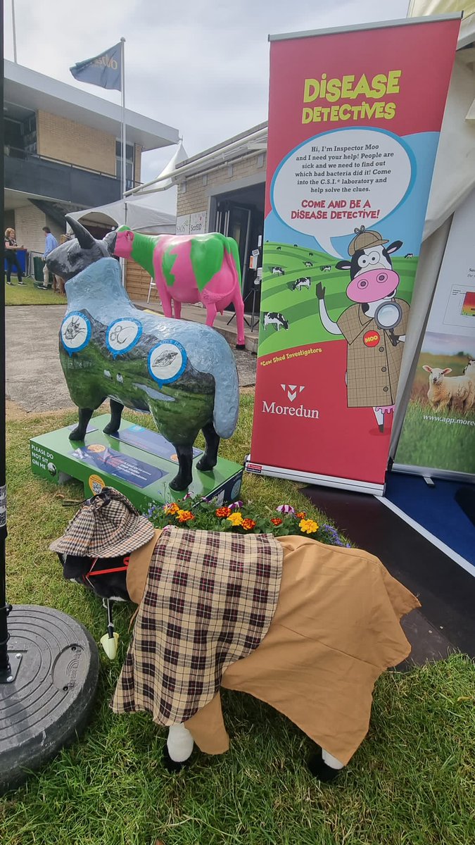 Kevin Mclean tweet media