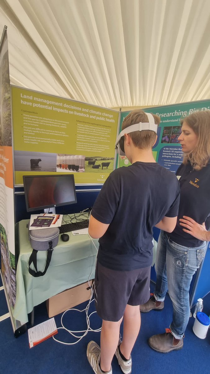 Kevin Mclean tweet media