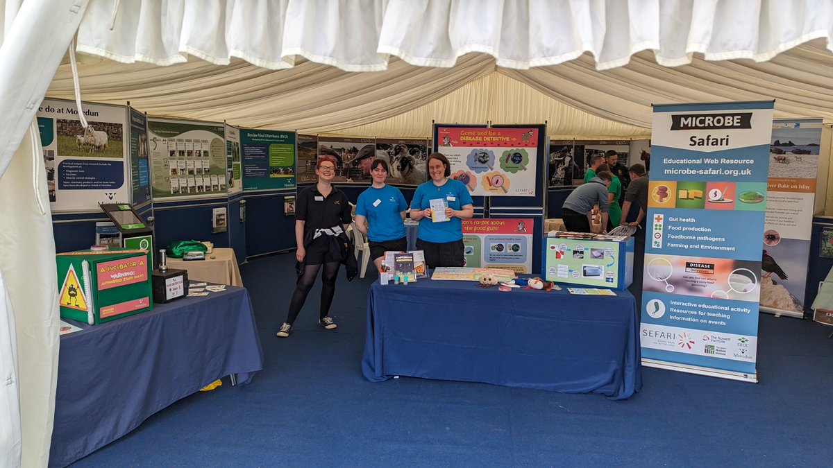 Kevin Mclean tweet media