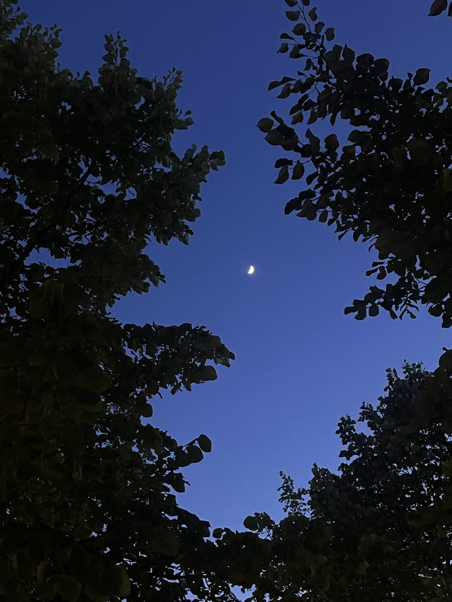 Meryemkdr1's tweet photo. 🌙 https://t.co/GC9I5gBcya
