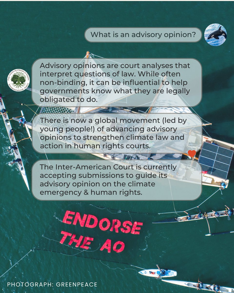 FACE Intergenerational Justice tweet media