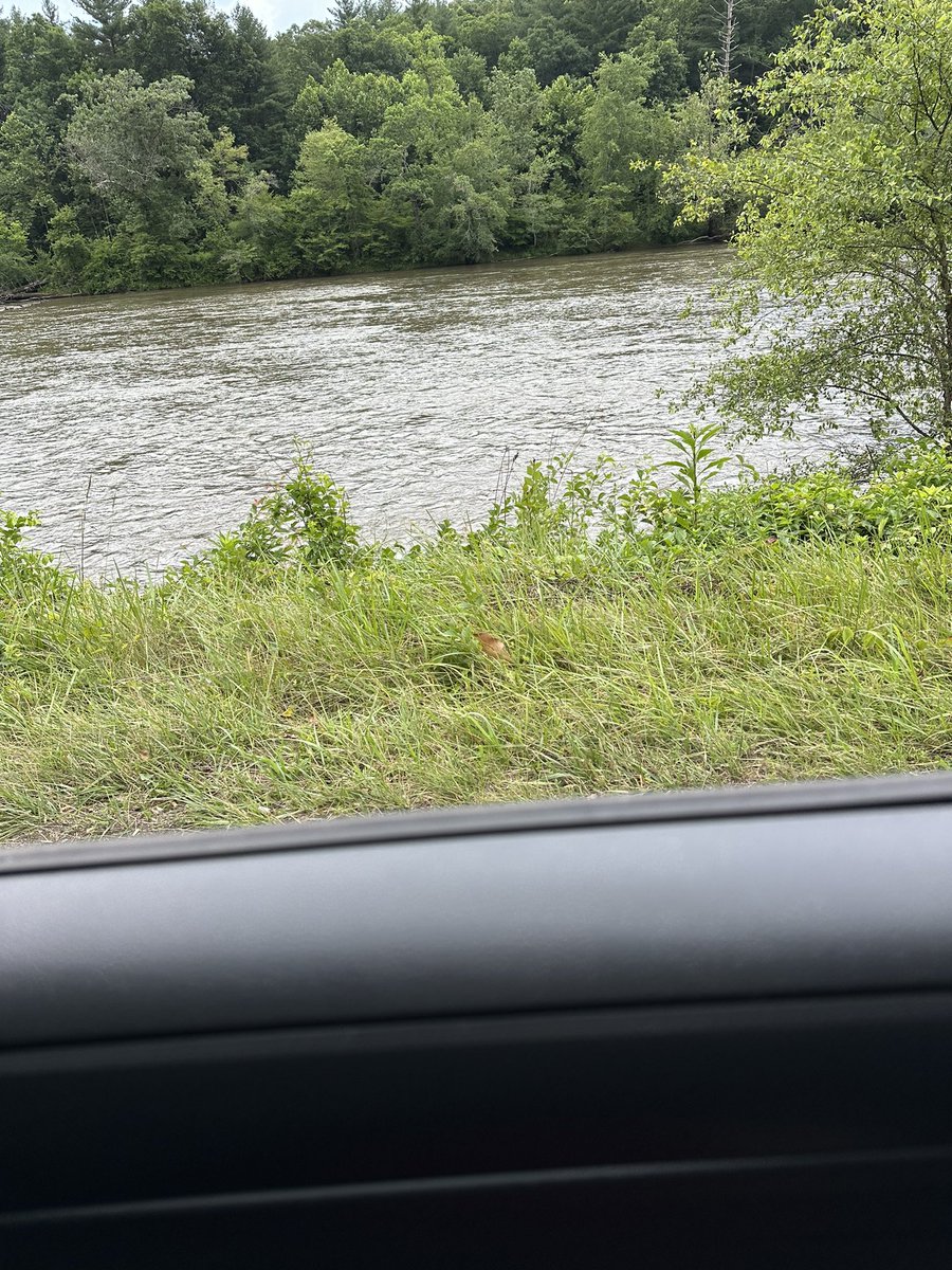 Jamie 𓅓 tweet media