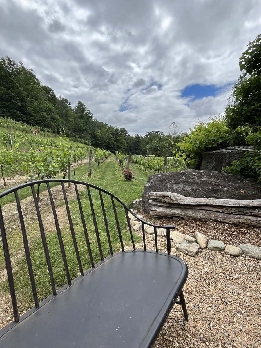 NC mountains, wine, live music. Perfect afternoon
