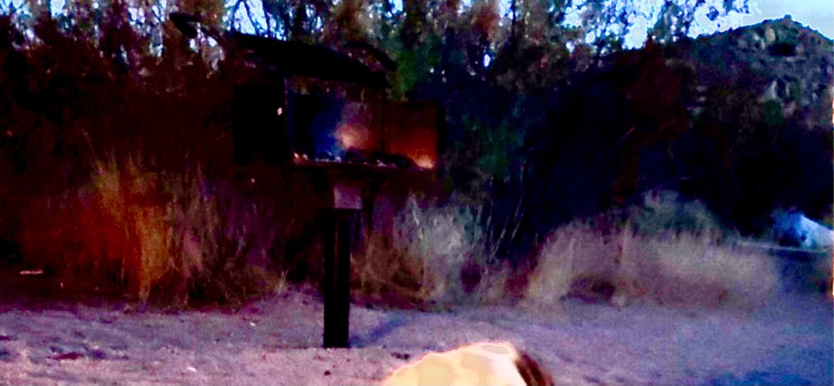 BertsBp's tweet photo. Joshua Tree campsite displays a posted sign which shows our arm of The Milky Way Galaxy.

Looks to me like it turned into a community gathering: “We’re all gonna ascend...Let’s Party!" https://t.co/6aCJXpE9zi
