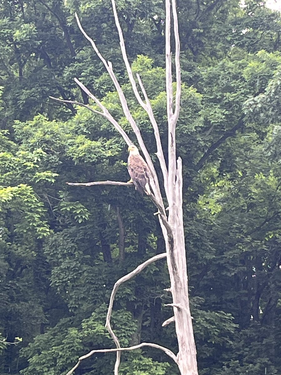 MattStrick11's tweet image. “…And the end of all our exploring 
Will be to arrive where we started 
And know the place for the first time…” ~ T.S. Eliot

It’s been an amazing weekend tent camping and exploring in Salt Fork. Absolutely beautiful, and I’m beyond blessed to see it 🛶🌲🩵💚🙌