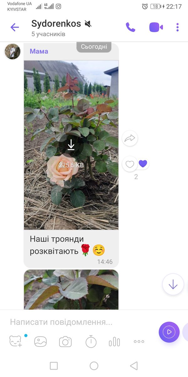 русалка польова tweet media