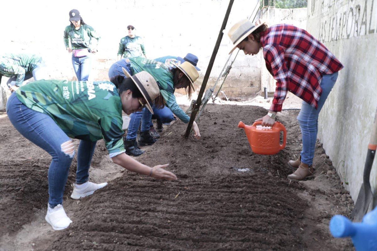 luiscasas4T's tweet photo. Por el bien de Veracruz, todos a sembrar 🌱👨🏽🌾
En colaboración de productores y funcionarios públicos participamos en el #TequioAgrícola con el fin de promover y capacitar a la ciudadanía en los procesos de cultivo y la búsqueda de la soberanía alimentaria.
#Sembremos #Veracruz https://t.co/pHAyy18MiI