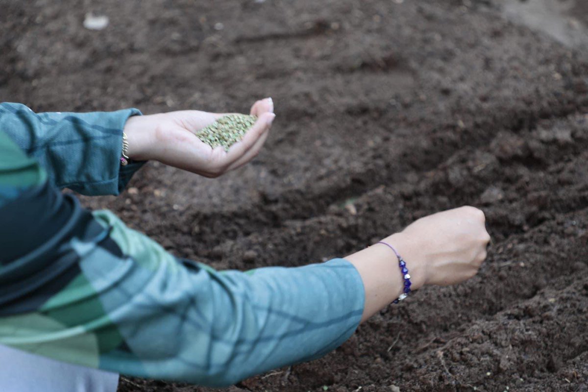 luiscasas4T's tweet photo. Por el bien de Veracruz, todos a sembrar 🌱👨🏽🌾
En colaboración de productores y funcionarios públicos participamos en el #TequioAgrícola con el fin de promover y capacitar a la ciudadanía en los procesos de cultivo y la búsqueda de la soberanía alimentaria.
#Sembremos #Veracruz https://t.co/pHAyy18MiI