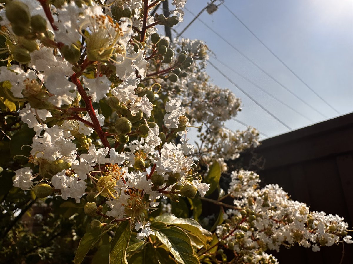 Nature…. Pretty. Btw we’re in Houston can you guess what we’re doin?