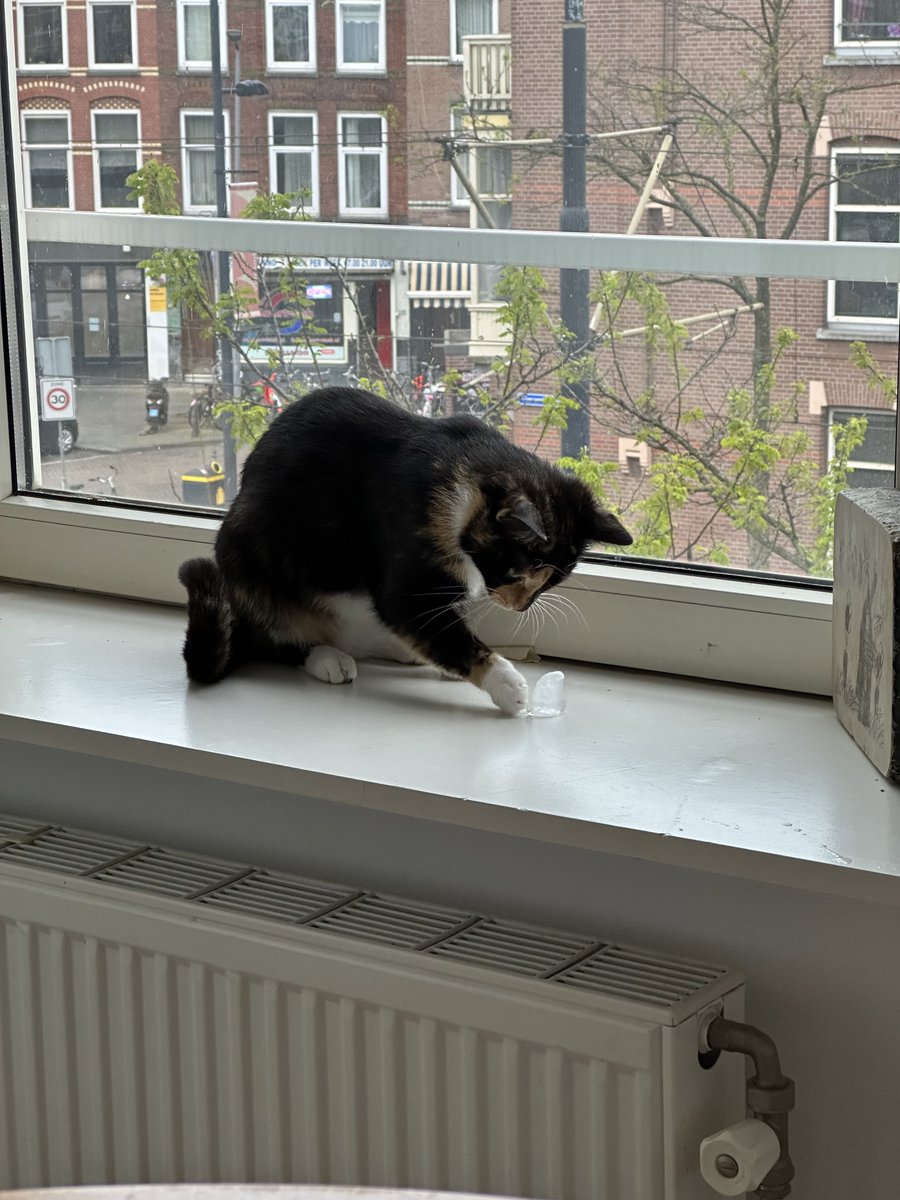 Nils Westhoff tweet media