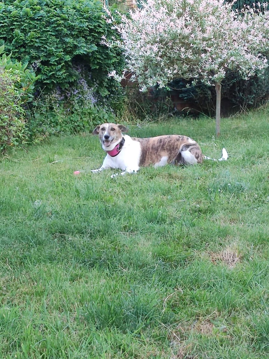 Playing in the new garden