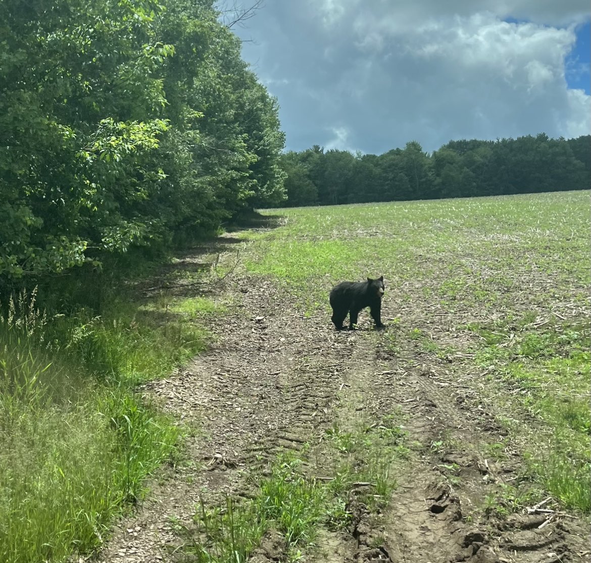 gobeeyou's tweet photo. Today… f u bear market! https://t.co/XwbCkFcinc