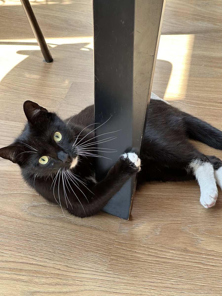 Nils Westhoff tweet media