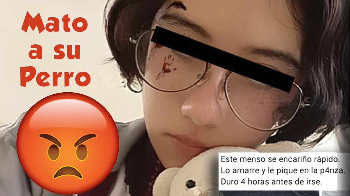 MascotasAsombro's tweet photo. Vanesa N Evil ► Acaba Brutalmente con la Vida de su Perro 😱

#Mascotas #Perros #VanessaNEvil #VideoViral #Youtube 

https://t.co/YHXypvmT5O https://t.co/AT1WOWwxNn