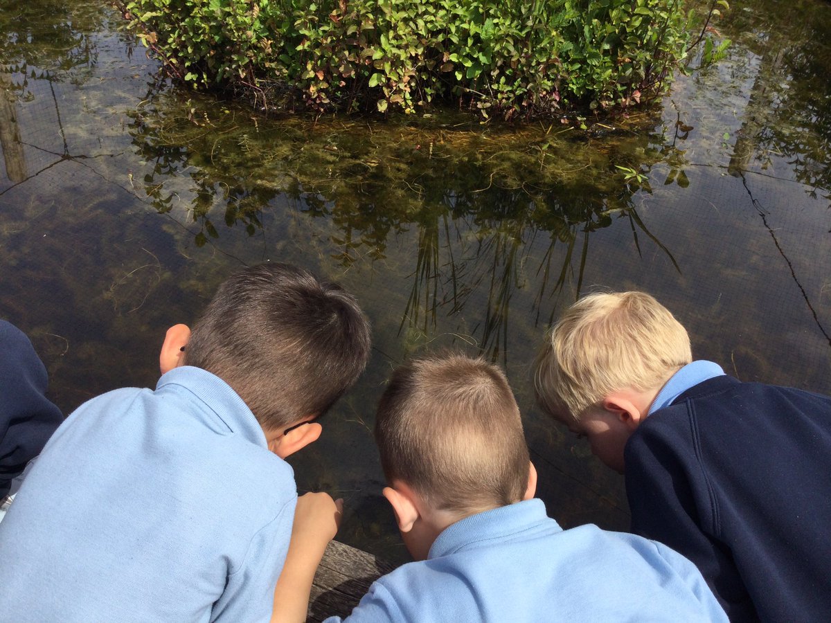 1FL - Miss Finch & Mrs Lochrie (@st_wilfrids_1fl) on Twitter photo Year 1 have had a fantastic time exploring our focus theme ‘Down at the bottom of the garden’ at Martin Mere. Next we went pond dipping to see what we could find and identify.
<a href="/St_Wilfrids_CE/">St Wilfrid's</a> <a href="/LT_Trust/">Learning Together Trust</a> Year 1 have had a fantastic time exploring our focus theme ‘Down at the bottom of the garden’ at Martin Mere. Next we went pond dipping to see what we could find and identify.
<a href="/St_Wilfrids_CE/">St Wilfrid's</a> <a href="/LT_Trust/">Learning Together Trust</a>