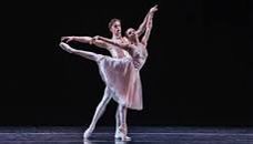 Alison Norton tweet media