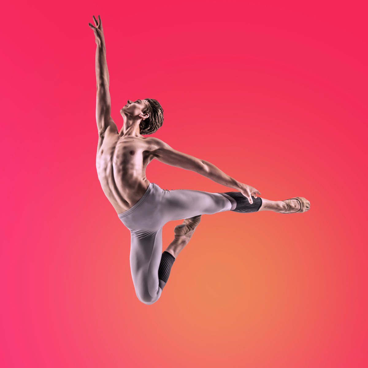 Alison Norton tweet media