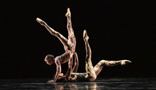 Alison Norton tweet media