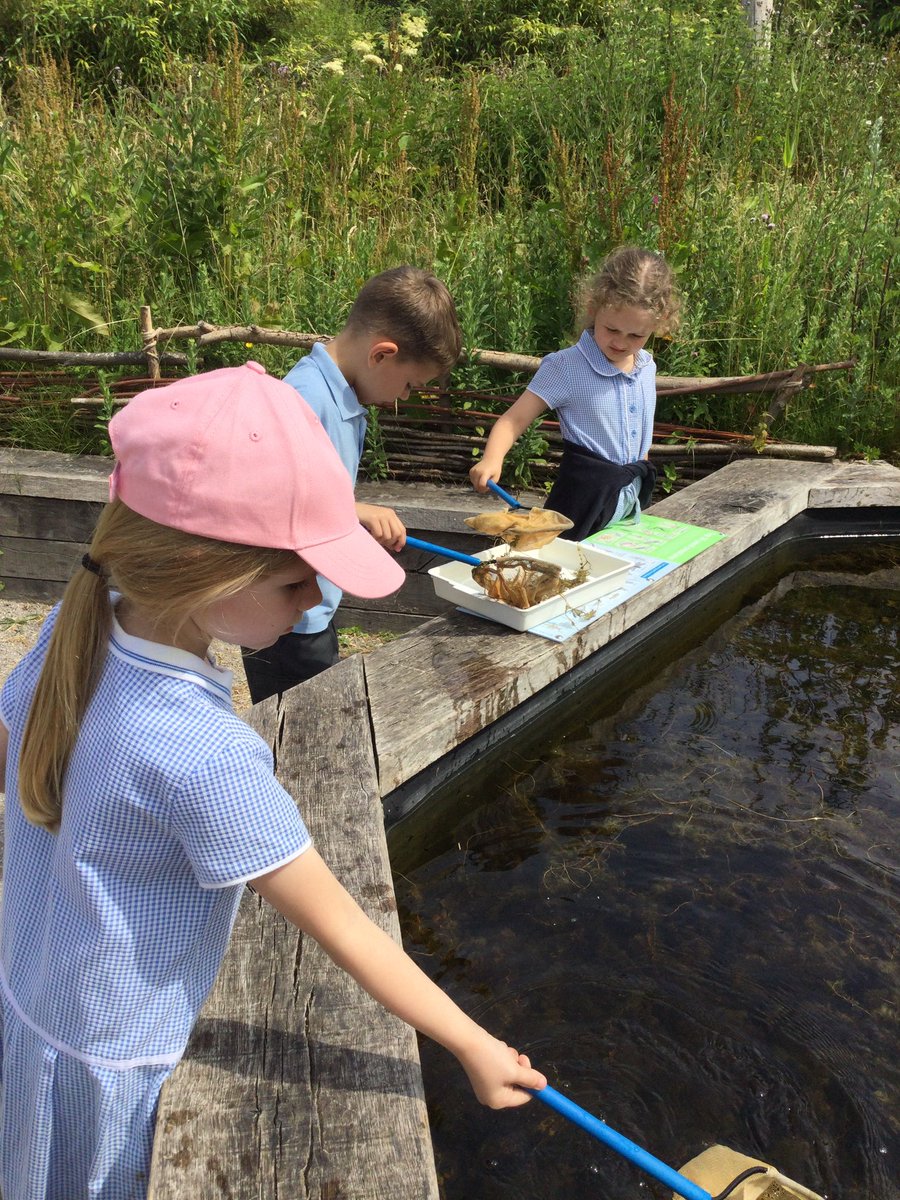 1FL - Miss Finch & Mrs Lochrie (@st_wilfrids_1fl) on Twitter photo Year 1 have had a fantastic time exploring our focus theme ‘Down at the bottom of the garden’ at Martin Mere. Next we went pond dipping to see what we could find and identify.
<a href="/St_Wilfrids_CE/">St Wilfrid's</a> <a href="/LT_Trust/">Learning Together Trust</a> Year 1 have had a fantastic time exploring our focus theme ‘Down at the bottom of the garden’ at Martin Mere. Next we went pond dipping to see what we could find and identify.
<a href="/St_Wilfrids_CE/">St Wilfrid's</a> <a href="/LT_Trust/">Learning Together Trust</a>