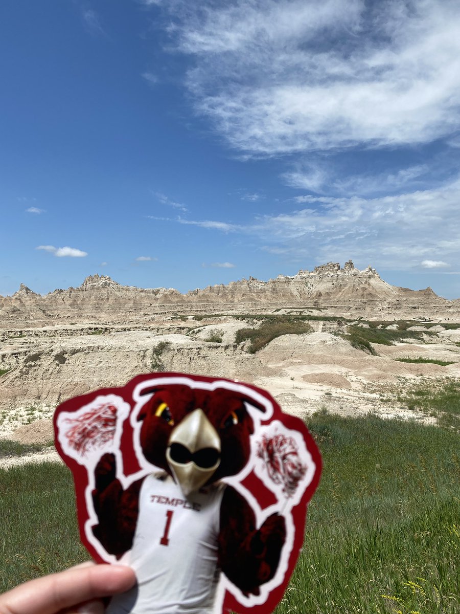 kidrock_02's tweet image. @TempleAlumni Hooter went pretty far from home for vacation this year and ended up in the badlands of South Dakota! #cherryon #whereishooter
