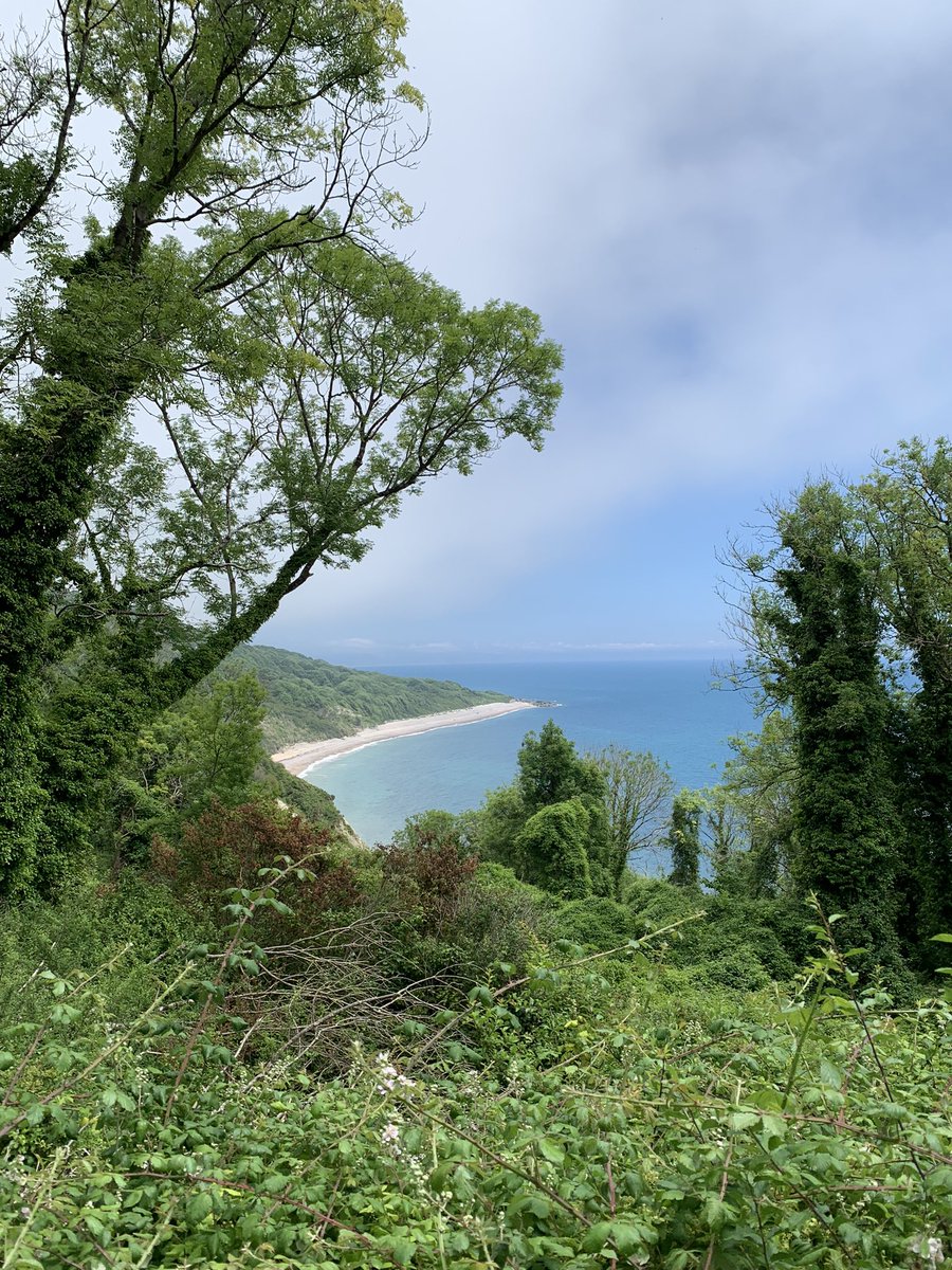 rachelj_bell's tweet photo. Making the most of a weekend. Early start and headed to the coast. Breakfast by the sea at 9am then a 12km walk along @swcoastpath from Seaton to Lyme Regis. Wonderful! But lots of mist so not too much ☀️!! 
@NaturalEngland 
#SWcoastpath
#StepintoSummer23 @WiPUK 
30,000 steps 😜 https://t.co/rQq2PNamla