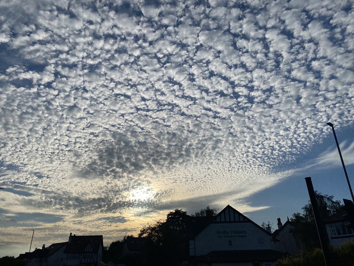 India Express tweet media