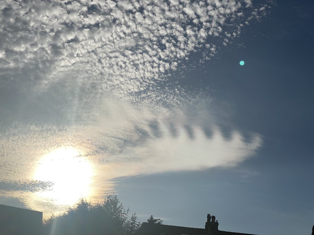 India Express tweet media