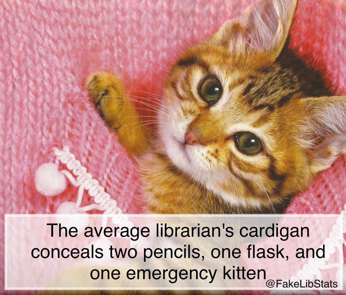 Fake Library Statistics tweet media