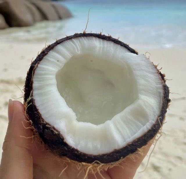 🫧͏ ͏ ͏ tweet media