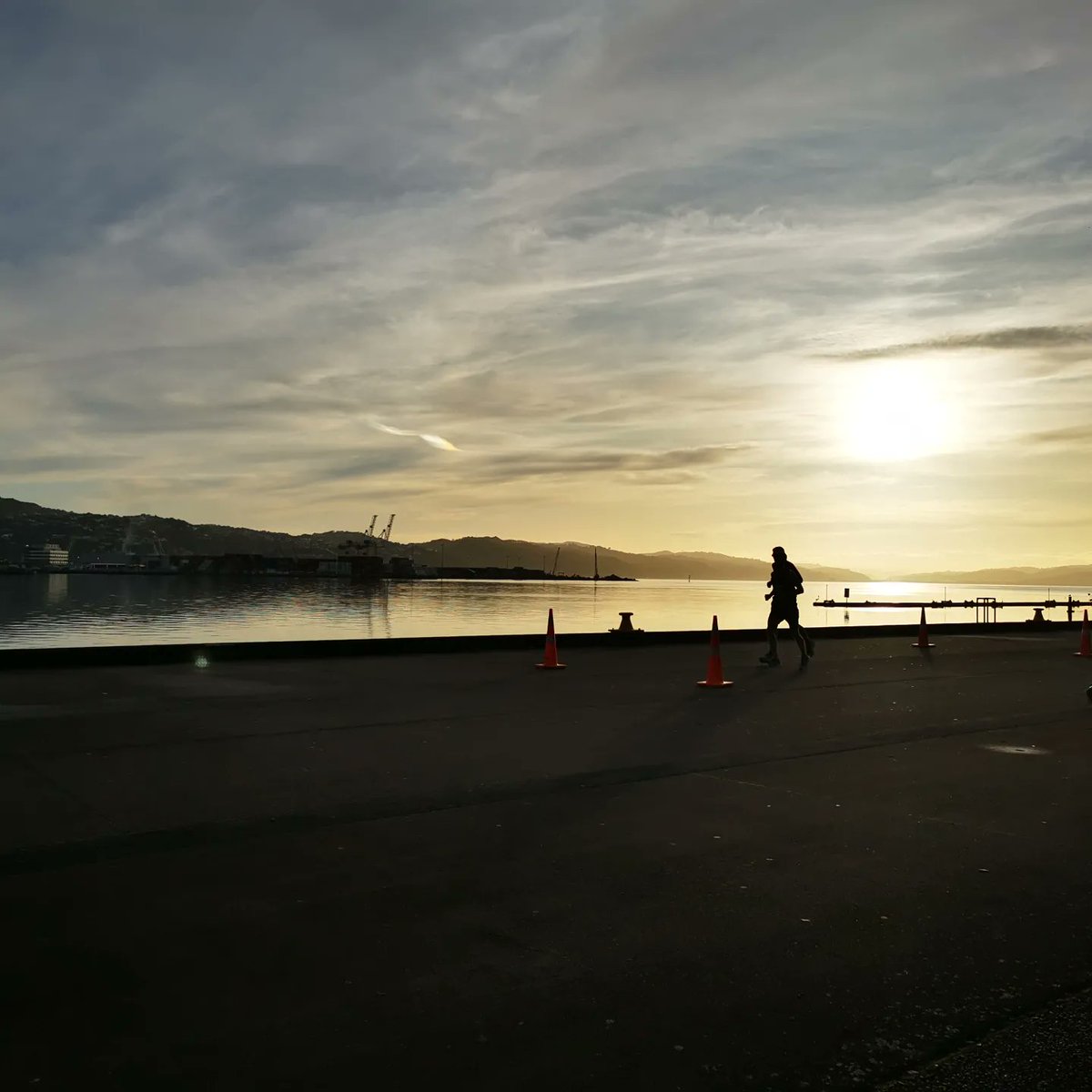 WildBayNZ's tweet image. As the sun rises over Wellington's Harbour and a warm morning the first of the Wellington Marathon runners are only 2km from the finish at @skystadiumnz
#WellingtonWaterfront
#WellingtonMarathon
#Wellington
