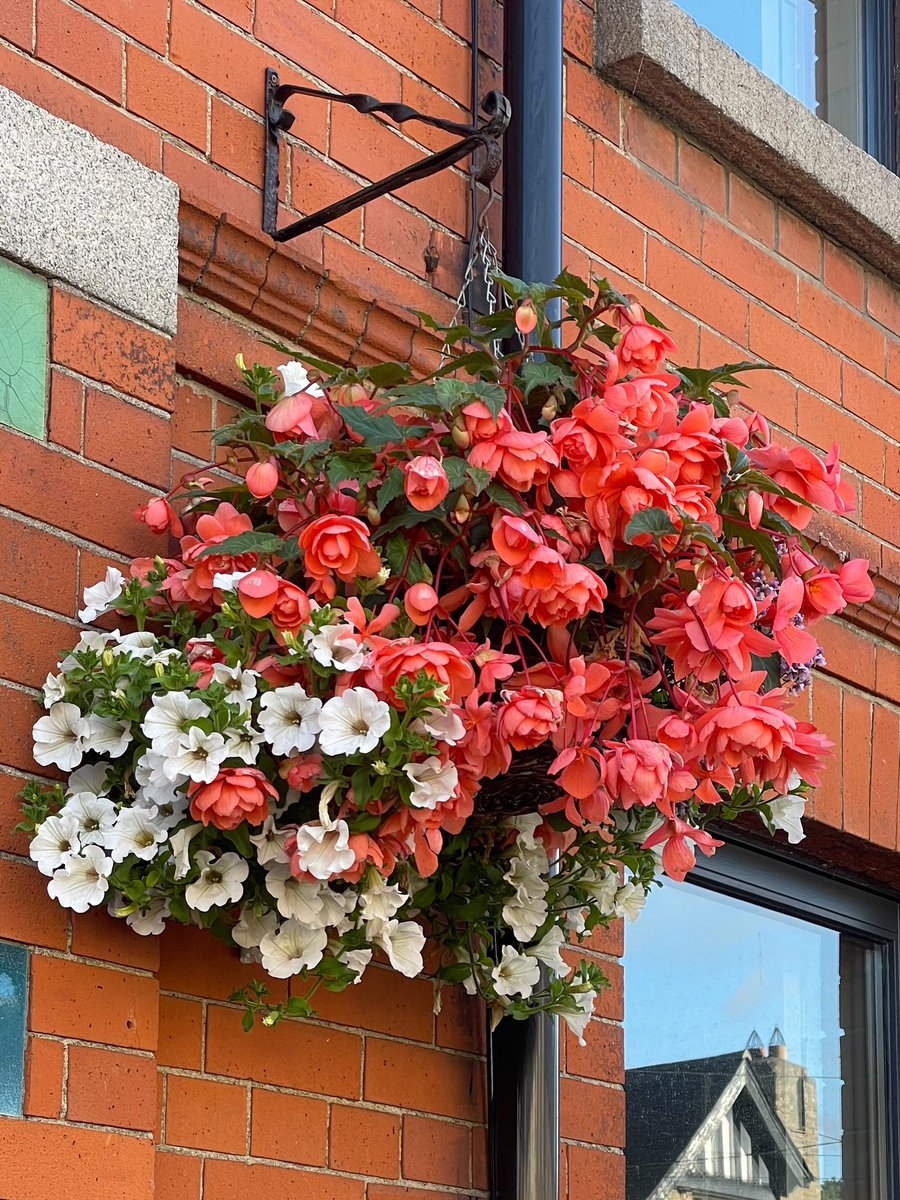 sharonmclandy's tweet photo. The flowers hanging outside in my door create a beautiful entrance. #welcoming #dublin #inchicore #HomeSweetHome https://t.co/7ly0pupU9R