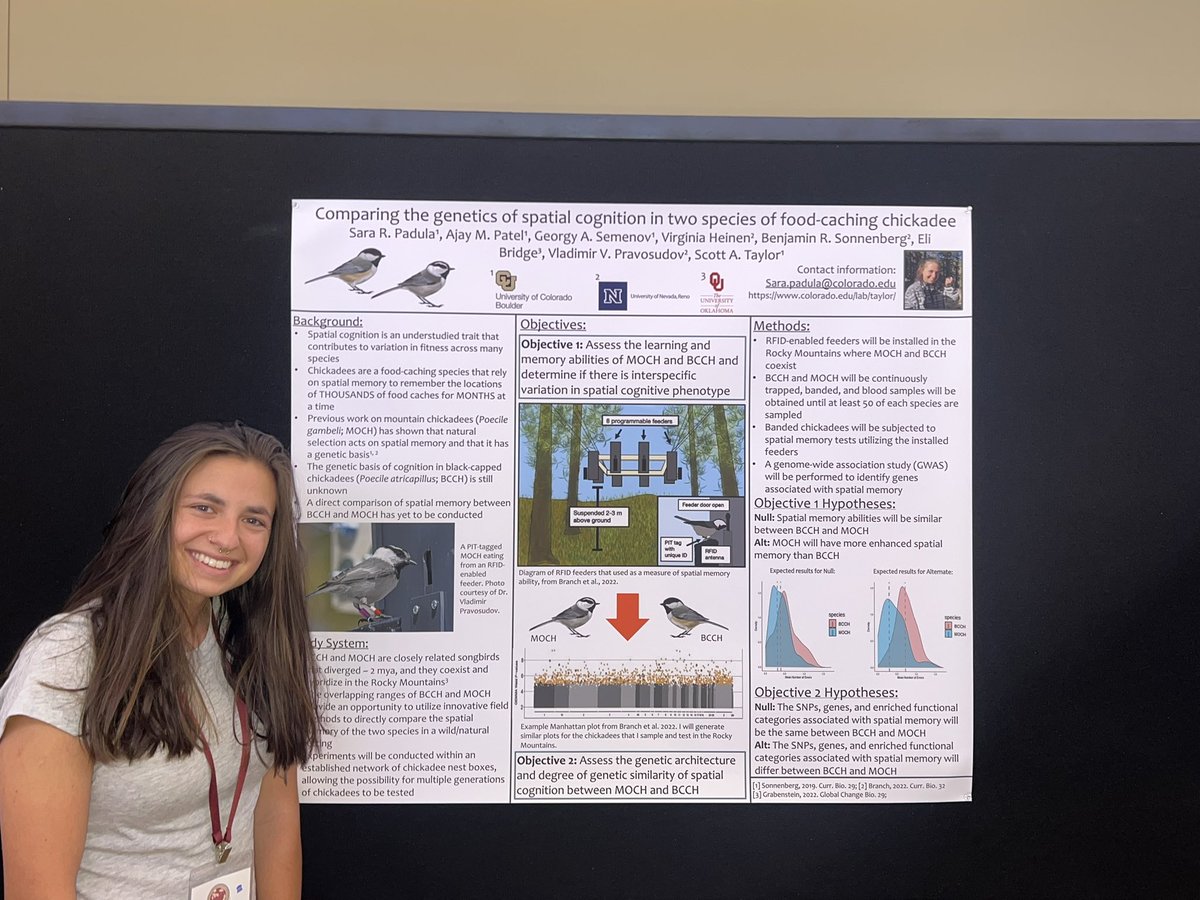 Come check out my poster proposing my project to investigate spatial cognition in black-capped chickadees and mountain chickadees! Today at 5:30-8:00 pm! #Evo2023