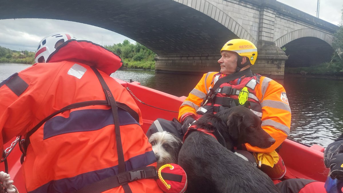 tayvalleyreact's tweet image. Our search dog teams were afloat on the Clyde today giving the dog the experience of boarding vessels and going ashore onto pontoons, riverbanks, etc. Thank you to our friends @GHSLifeguards for their time and use of their boats.