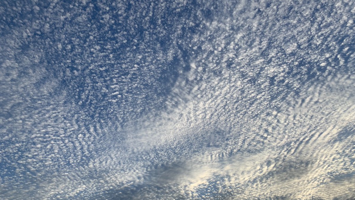 Spotter5's tweet photo. @Hudsonweather saw these cool looking clouds at York Monks Cross. What are they? https://t.co/dMlLLO0Azh