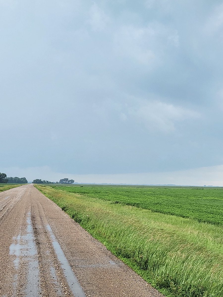 Fat base on low topped supercell southwest of Ada, MN <a href="/NWSGrandForks/">NWS Grand Forks</a> #mnwx #ndwx