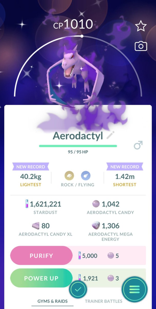 First Shiny Shadow since the change.