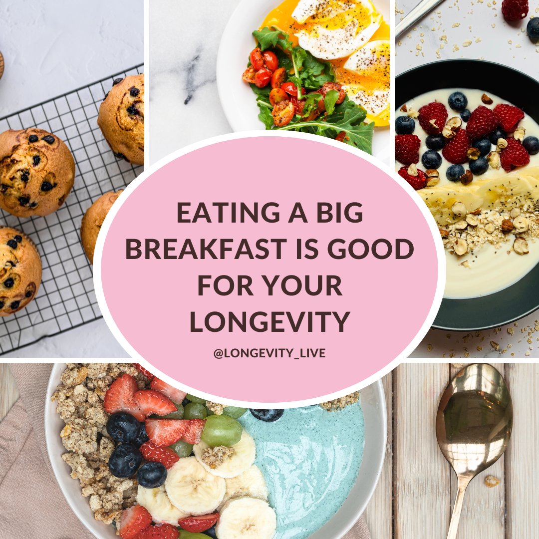 Longevity on Twitter "ICYMI The world’s longestliving populations