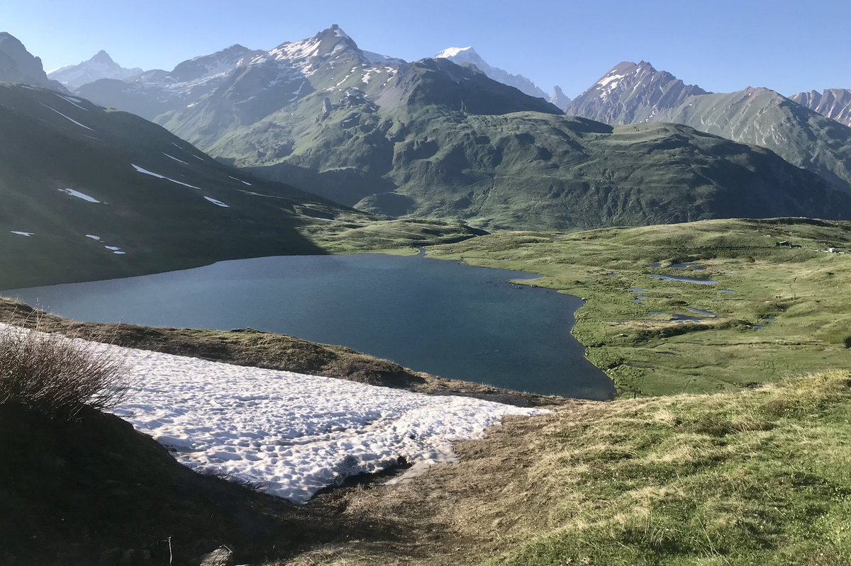 Marco Manero tweet media