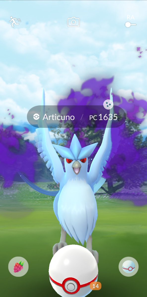 scausil's tweet image. Se hizo el de rogar hasta el último fin de semana de junio pero salio, Articuno oscuro ✨️ 🥳
#ShadowRaid #PokemonGO