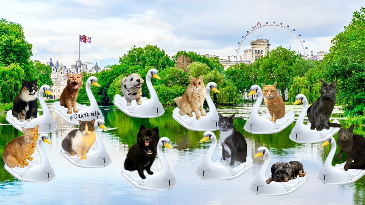 Whew! After that palace luncheon and all those donuts, I'm stuffed. Who's up for a leisurely paddle boat ride in St. James Park? 🇬🇧
#OdiesTripsLondon