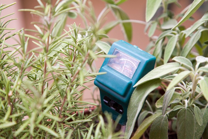 Looking for a way to improve your #lawncare? Consider using a moisture meter. #gardenhelp  cpix.me/a/172251346